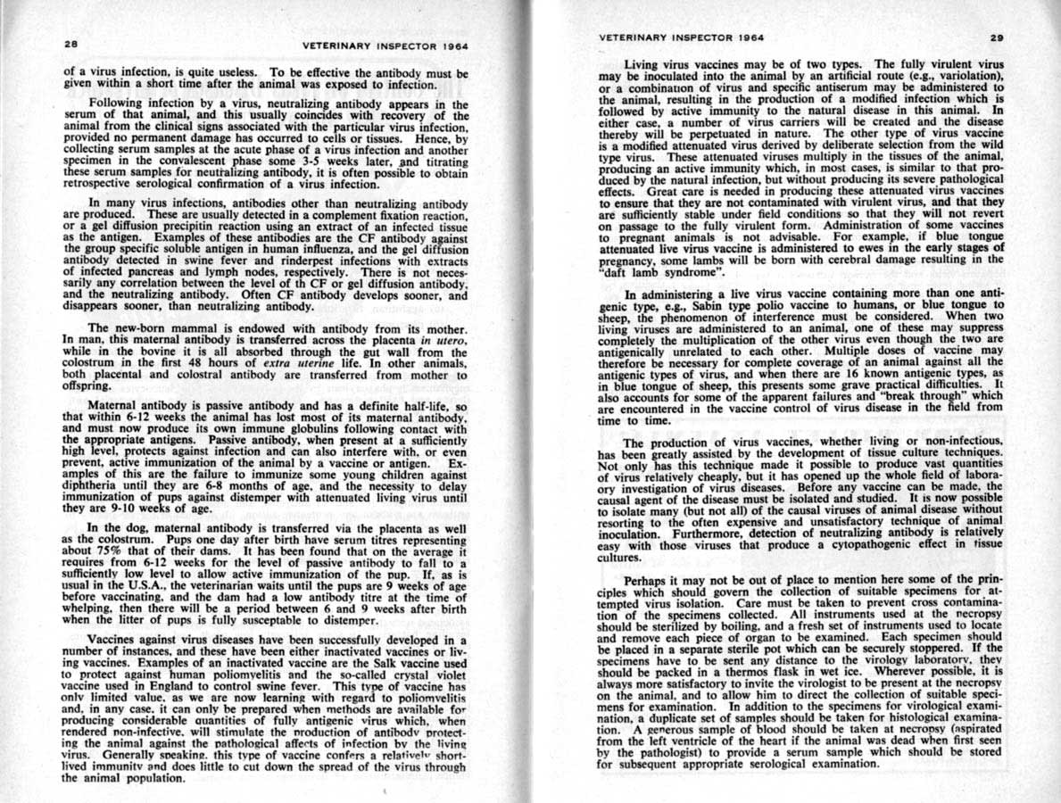 1964 Page 28 29